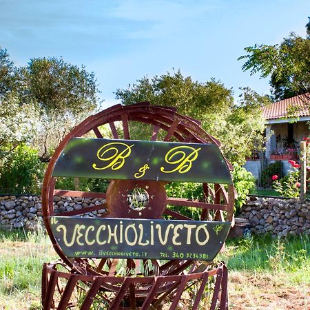 Bed and Breakfast Il Vecchioliveto Di Ornella à Marrùbiu Extérieur photo