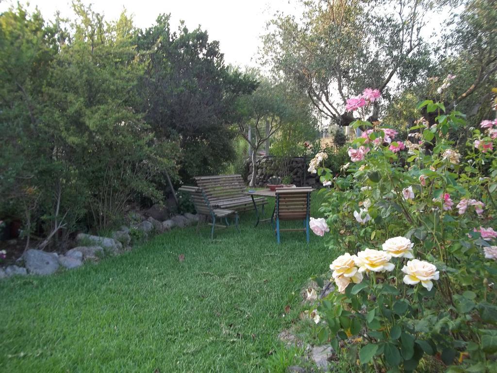 Bed and Breakfast Il Vecchioliveto Di Ornella à Marrùbiu Chambre photo