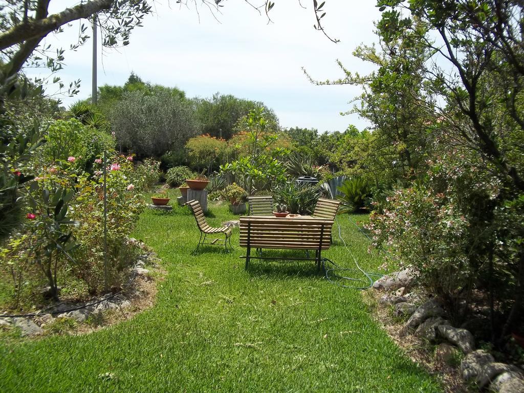 Bed and Breakfast Il Vecchioliveto Di Ornella à Marrùbiu Chambre photo