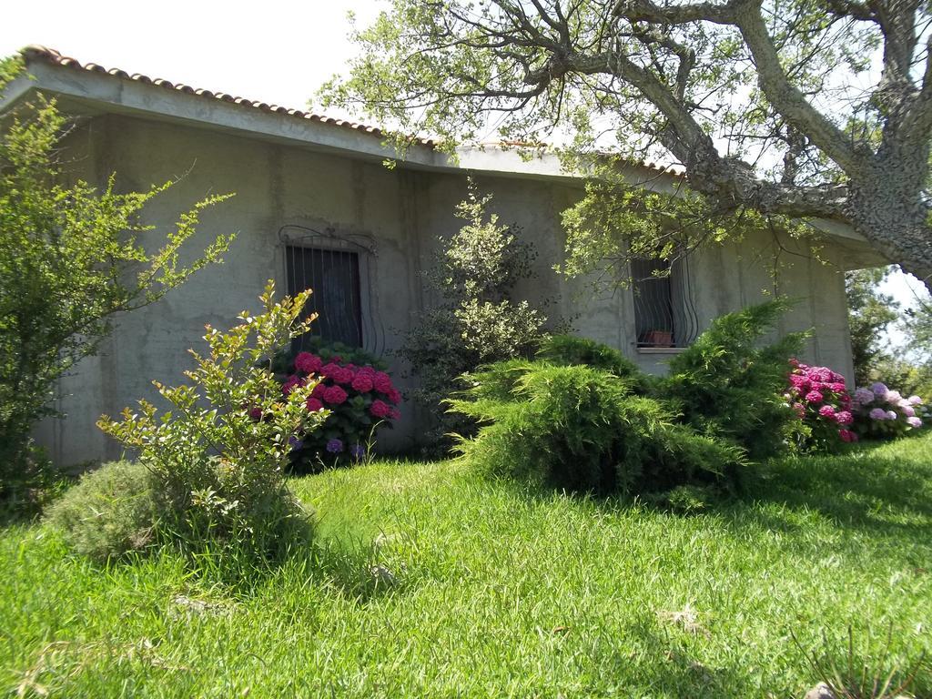 Bed and Breakfast Il Vecchioliveto Di Ornella à Marrùbiu Chambre photo