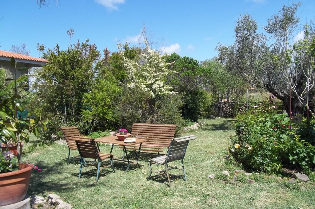 Bed and Breakfast Il Vecchioliveto Di Ornella à Marrùbiu Extérieur photo