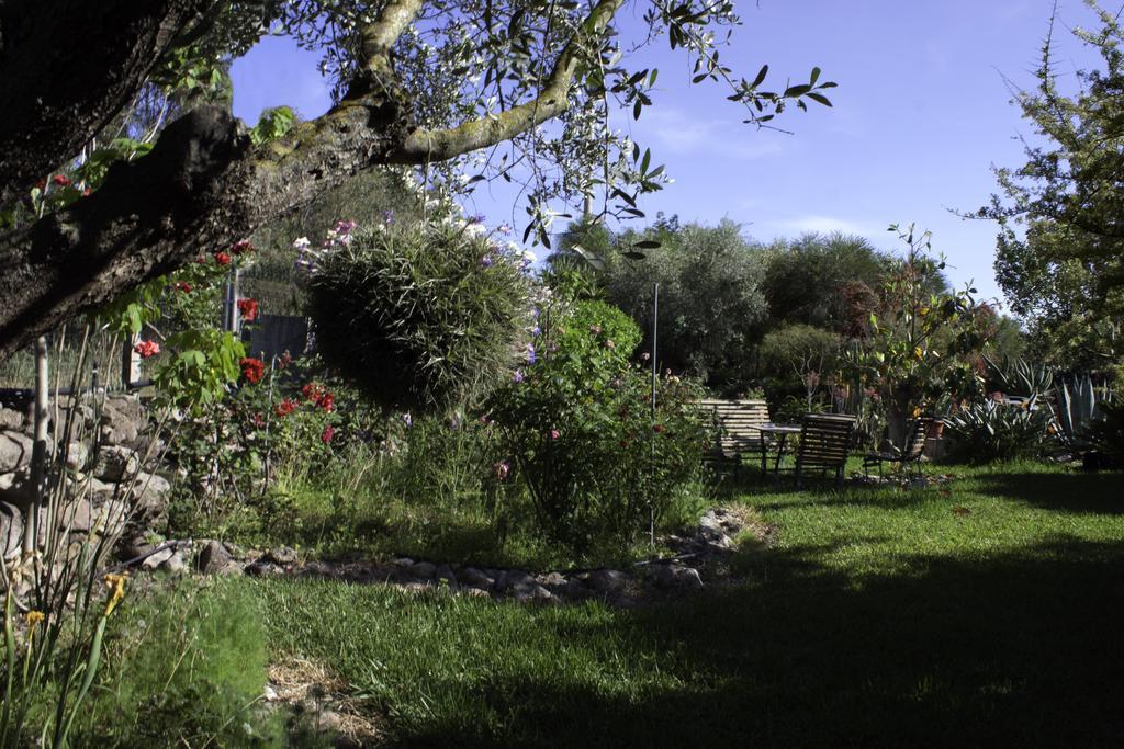 Bed and Breakfast Il Vecchioliveto Di Ornella à Marrùbiu Extérieur photo