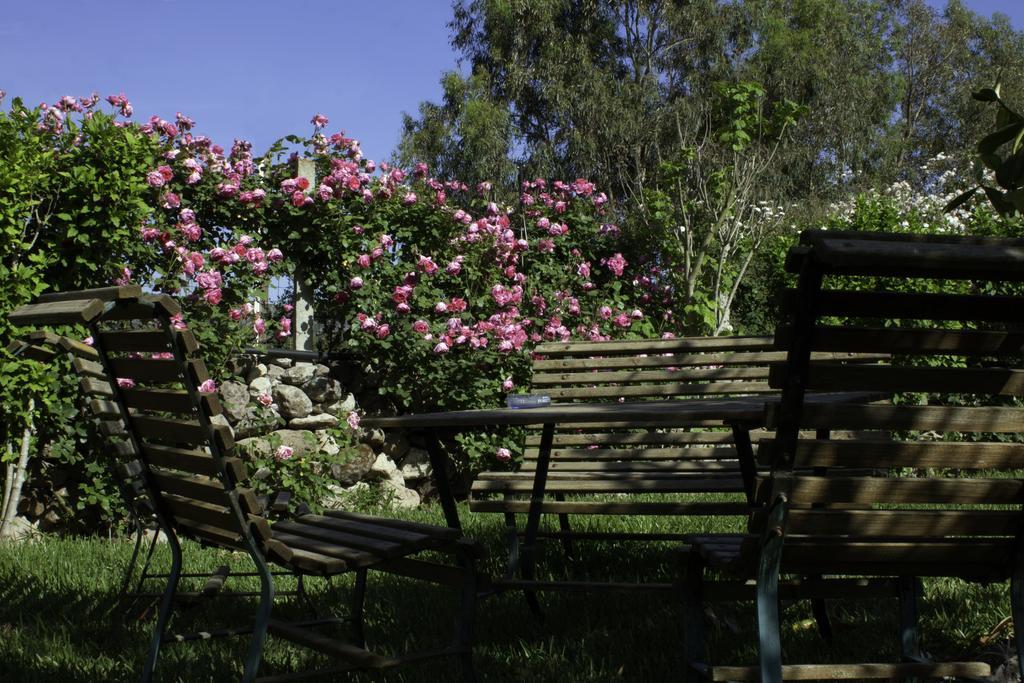 Bed and Breakfast Il Vecchioliveto Di Ornella à Marrùbiu Extérieur photo