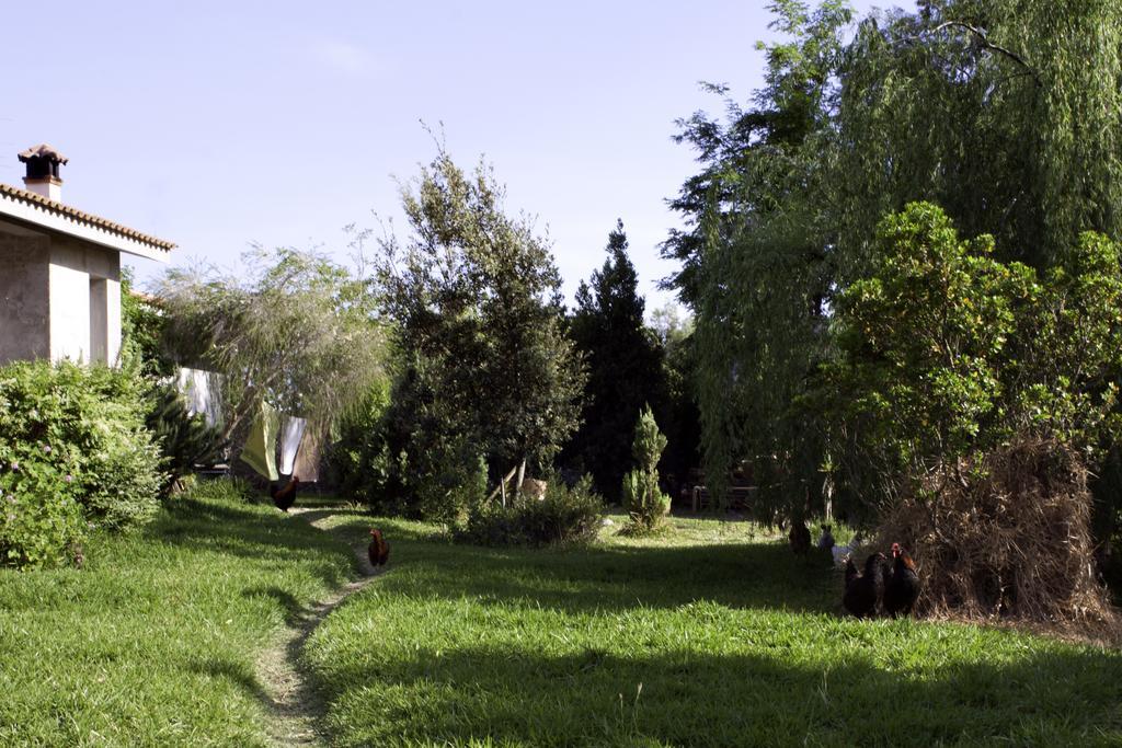 Bed and Breakfast Il Vecchioliveto Di Ornella à Marrùbiu Extérieur photo