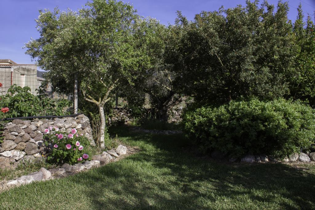 Bed and Breakfast Il Vecchioliveto Di Ornella à Marrùbiu Extérieur photo
