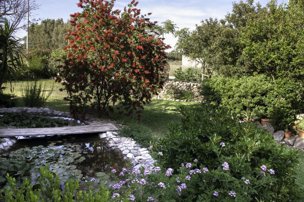 Bed and Breakfast Il Vecchioliveto Di Ornella à Marrùbiu Extérieur photo