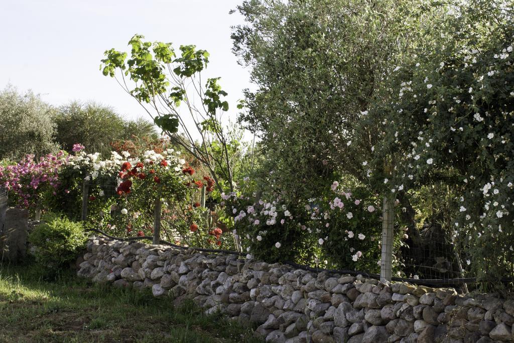 Bed and Breakfast Il Vecchioliveto Di Ornella à Marrùbiu Extérieur photo