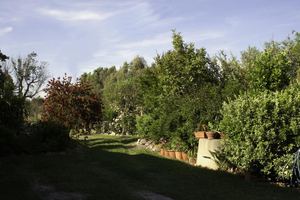 Bed and Breakfast Il Vecchioliveto Di Ornella à Marrùbiu Extérieur photo