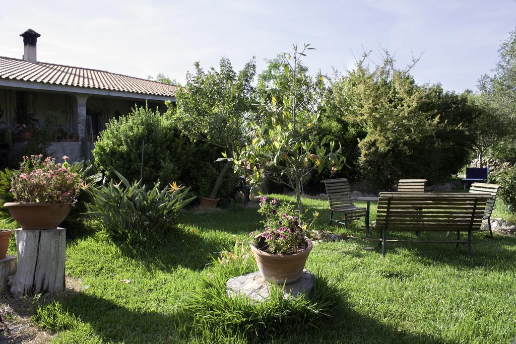 Bed and Breakfast Il Vecchioliveto Di Ornella à Marrùbiu Extérieur photo